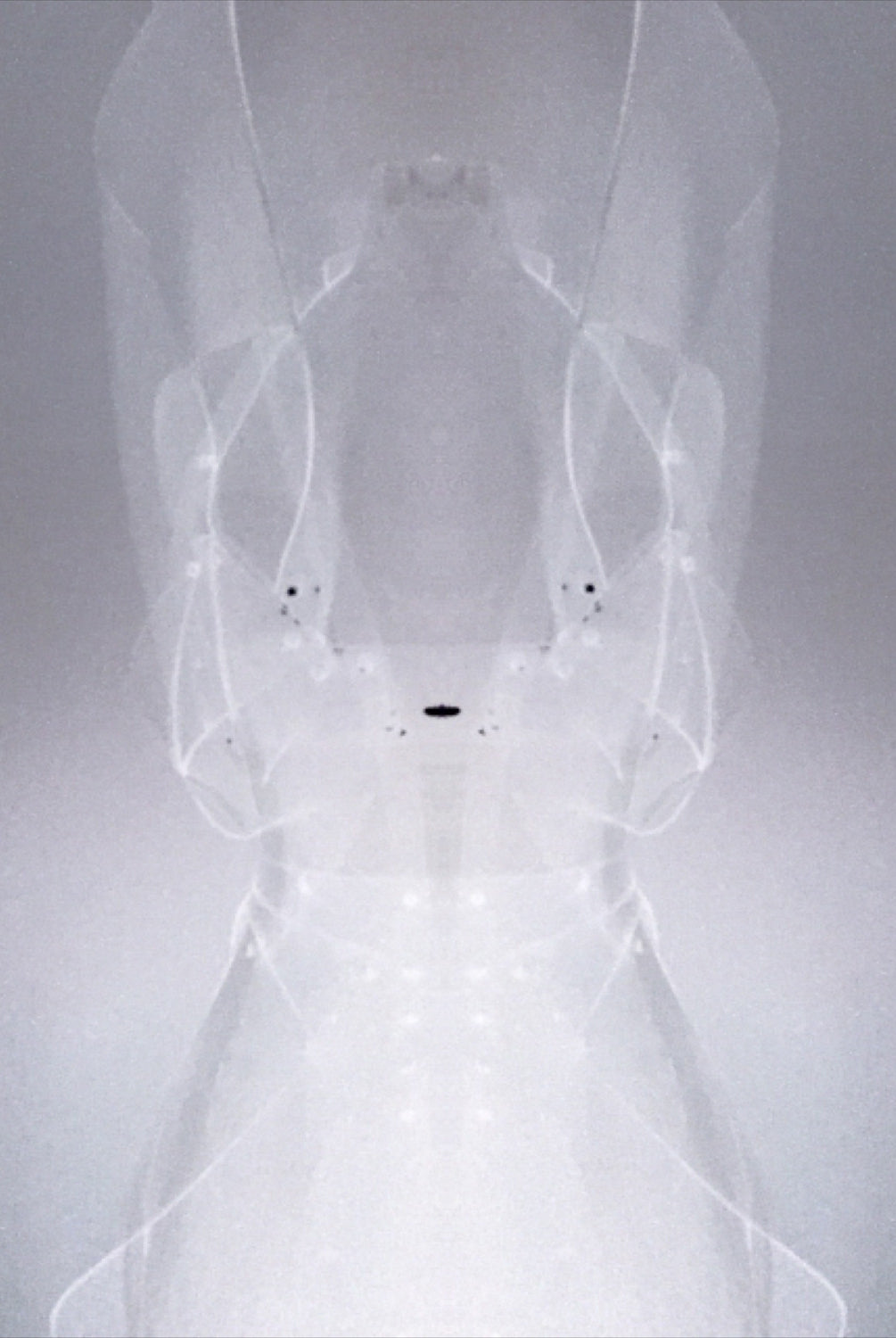 Custom Commission Clear PVC Dress