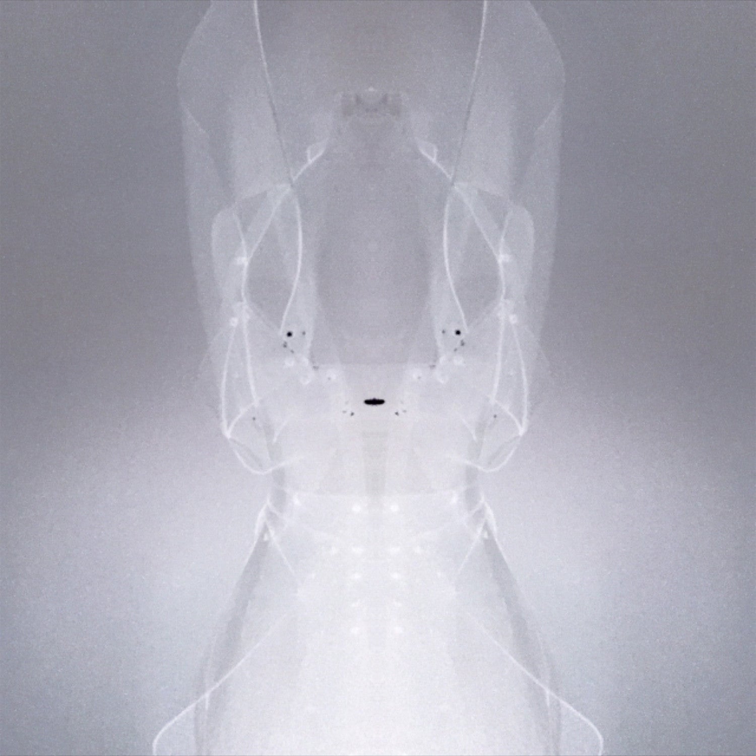 Custom Commission Clear PVC Dress