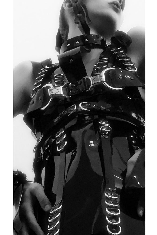 JivomirDomoustchiev Custom PVC Harness over a/w2016 Dress