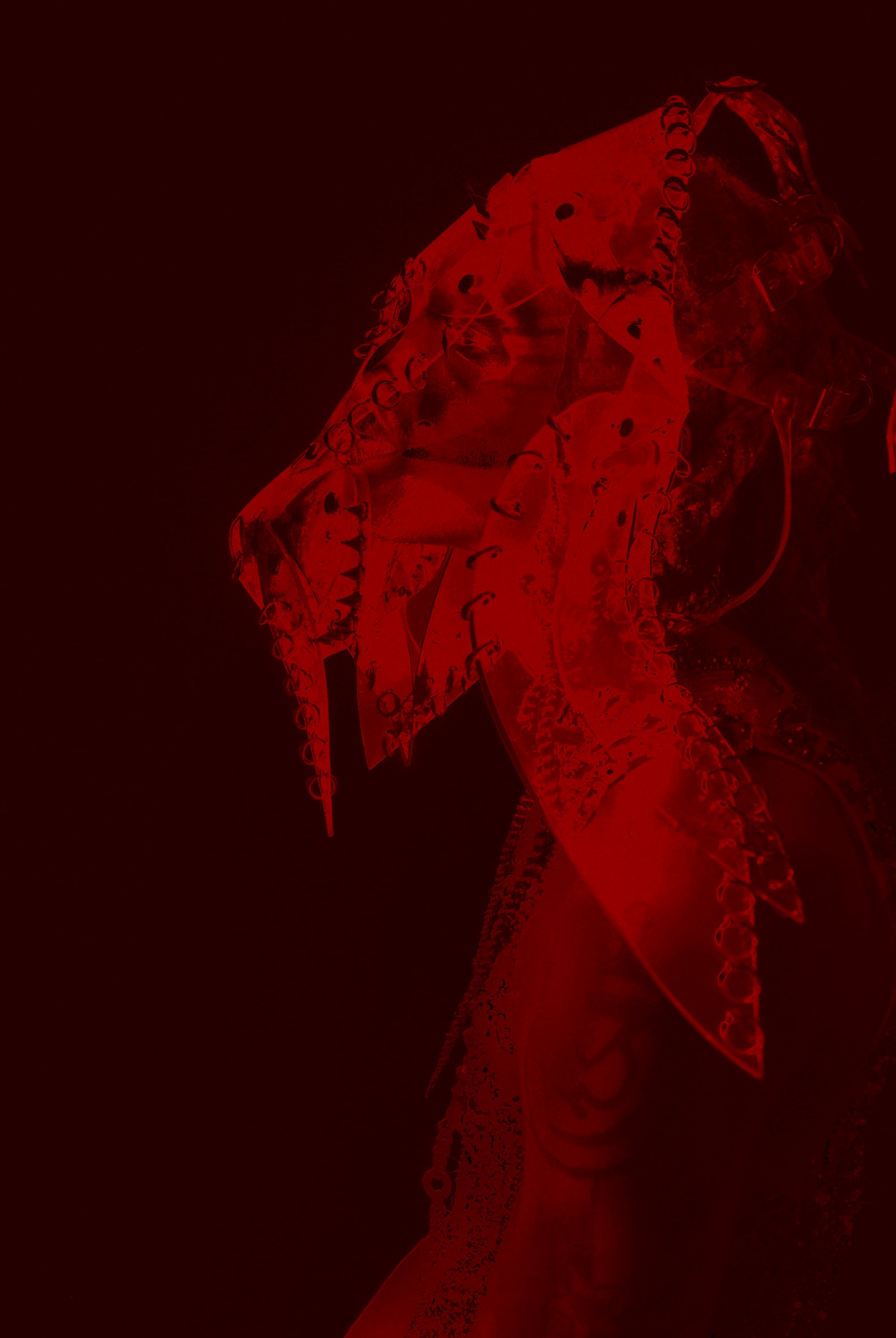 Lacey Fouxx x Paper Magazine x Jivomir Domoustchiev