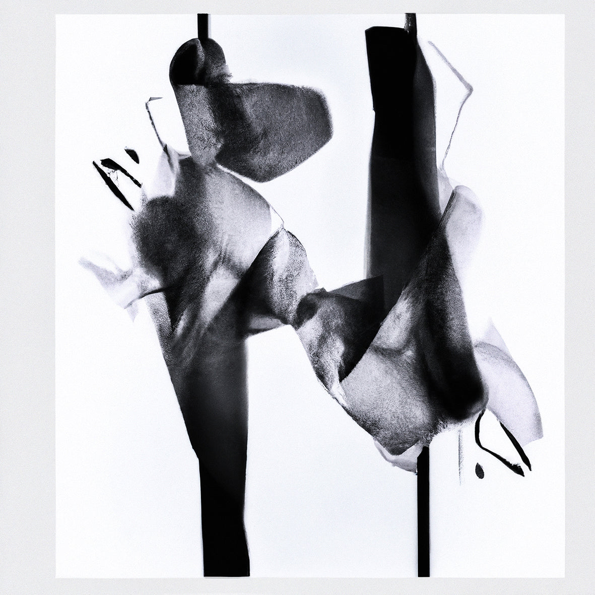 Jivomir Domoustchiev Metal Art Fashion Photography Collectible Print Abstract Flower Orchid artistic expression fashion photography