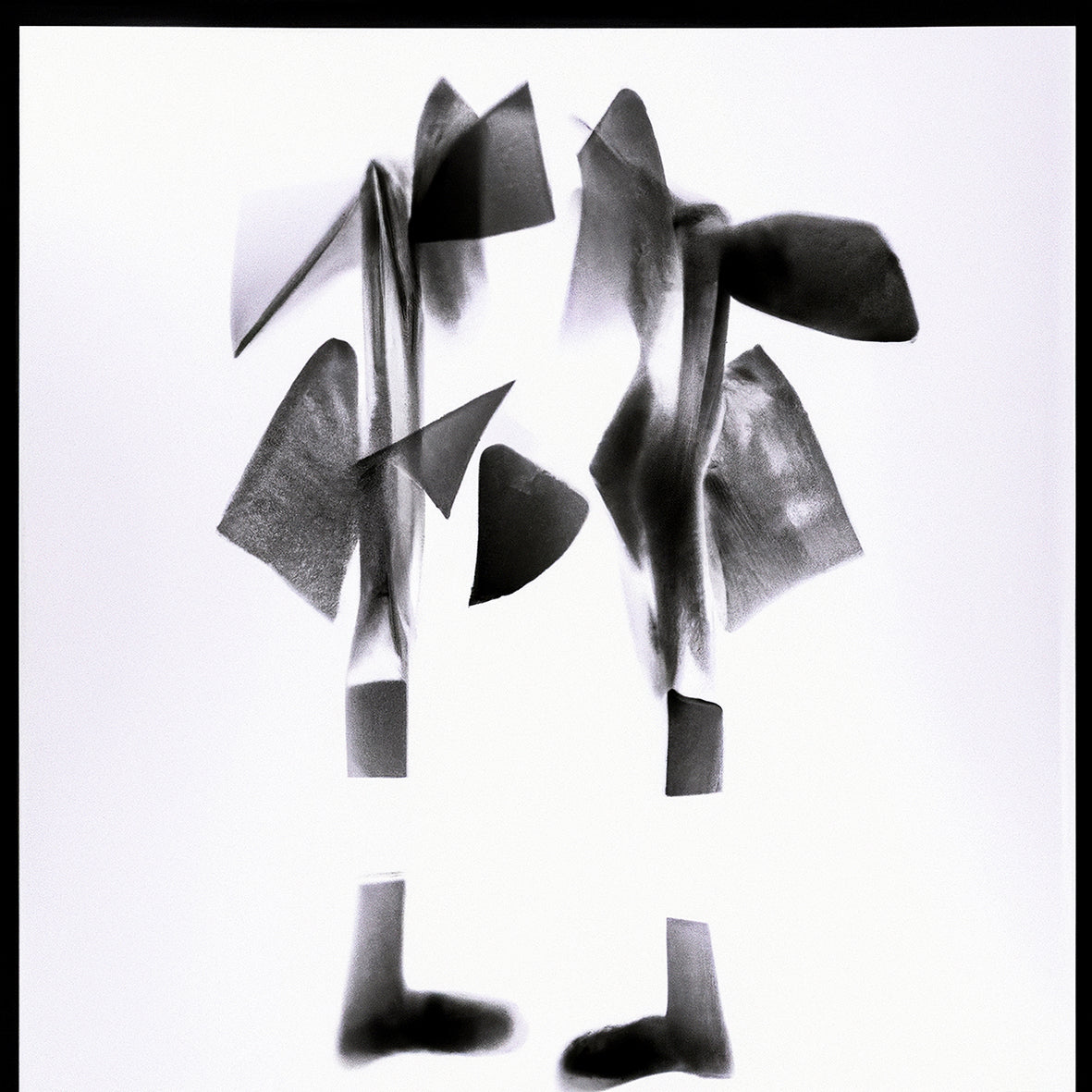 Jivomir Domoustchiev Metal Art Fashion Photography Collectible Print Abstract Flower Orchid artistic expression fashion photography