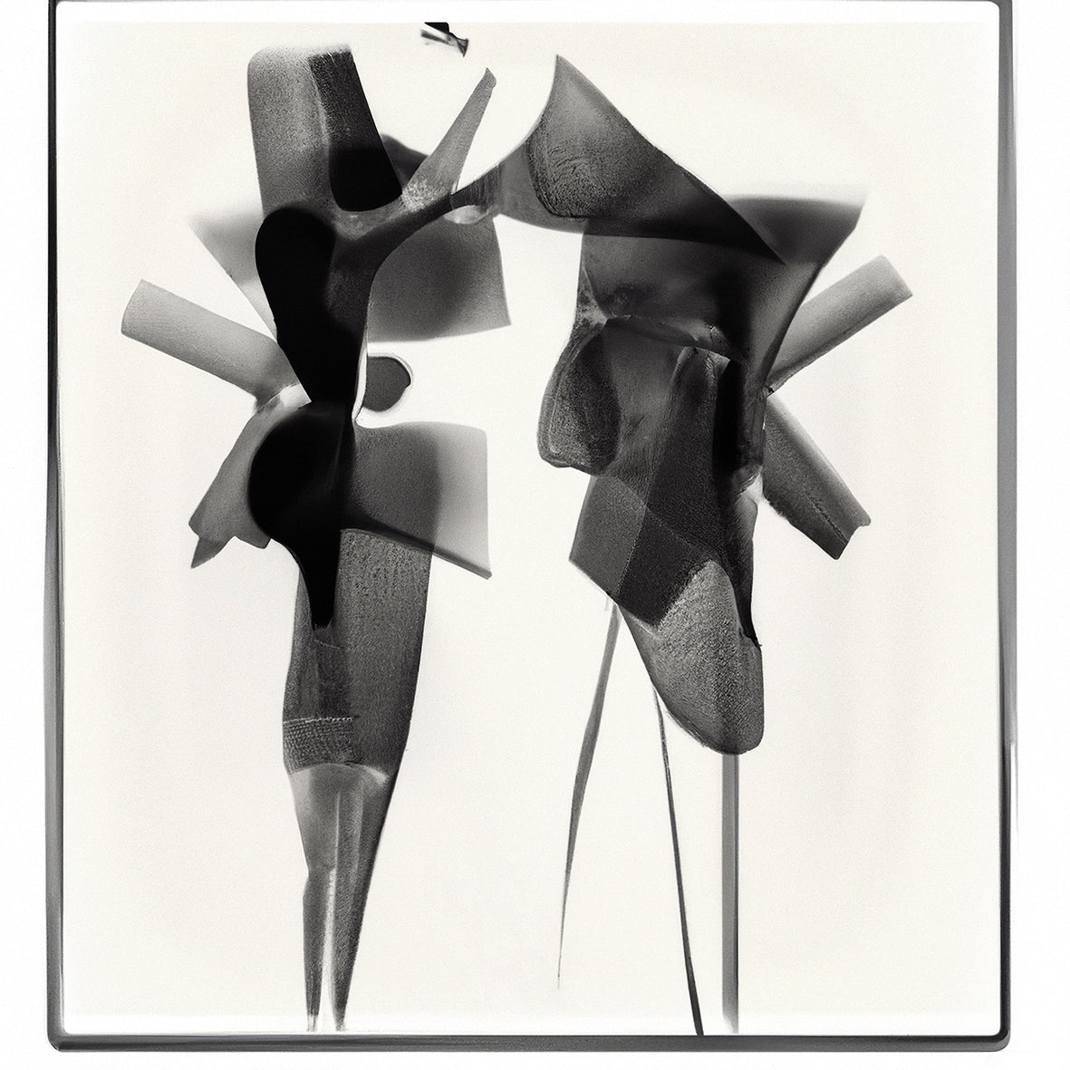 Jivomir Domoustchiev Metal Art Fashion Photography Collectible Print Abstract Flower Orchid artistic expression fashion photography