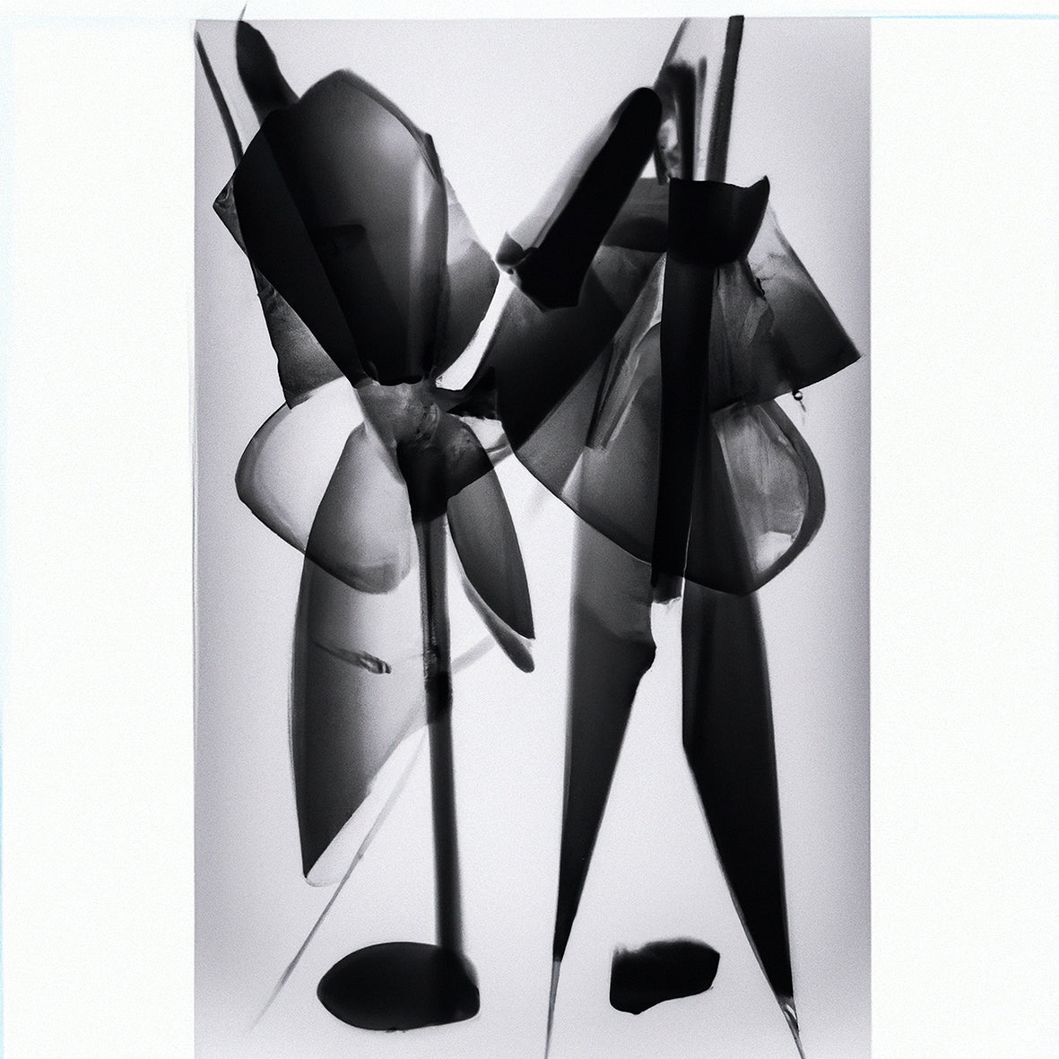 Jivomir Domoustchiev Metal Art Fashion Photography Collectible Print Abstract Flower Orchid artistic expression fashion photography