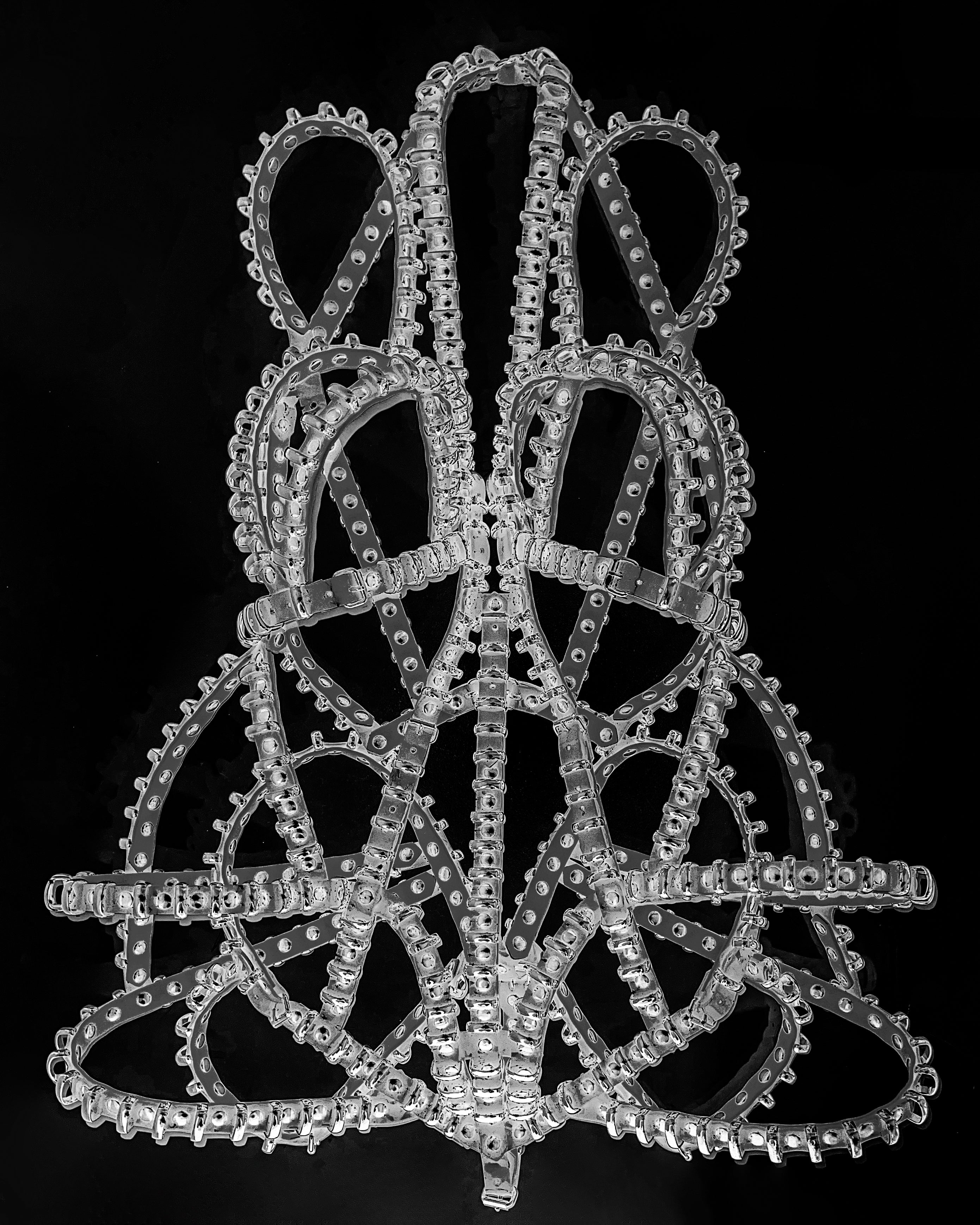 Jivomir Domoustchiev clear ring sculpture cage dress vegan future fashion