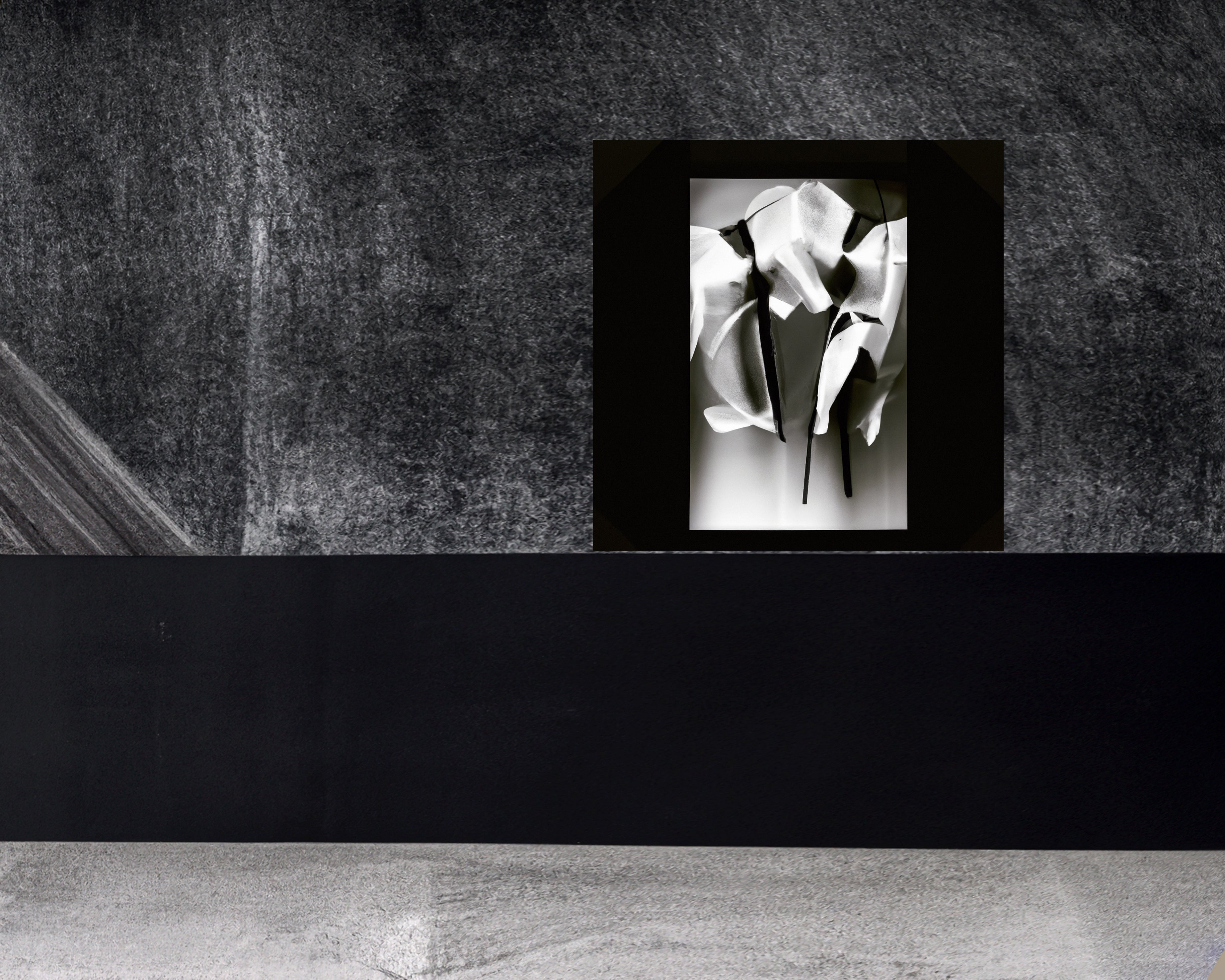 Jivomir Domoustchiev Metal Art Fashion Photography Collectible  Print Abstract Flower Orchid artistic expression fashion photography