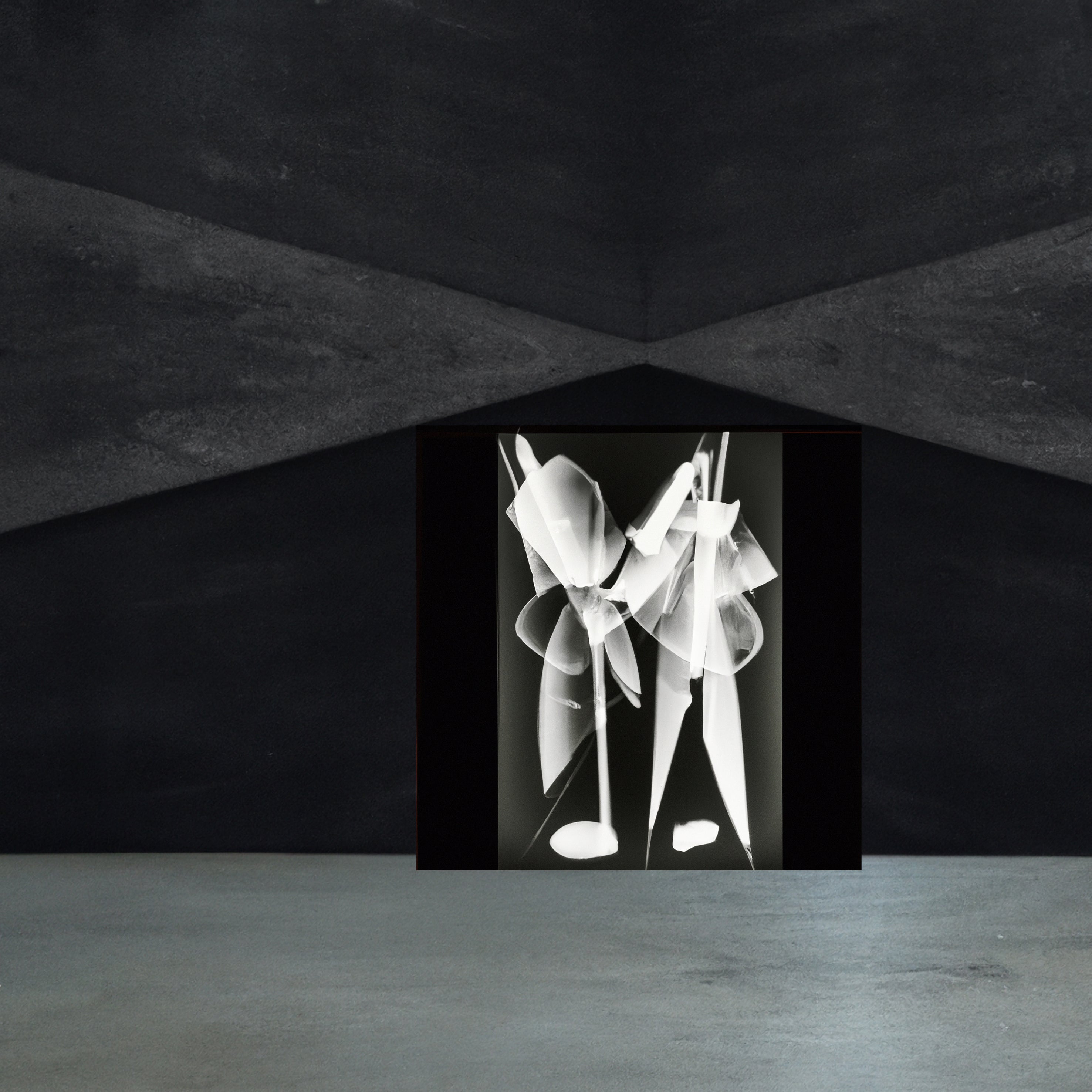 Jivomir Domoustchiev Metal Art Fashion Photography Collectible  Print Abstract Flower Orchid artistic expression fashion photography