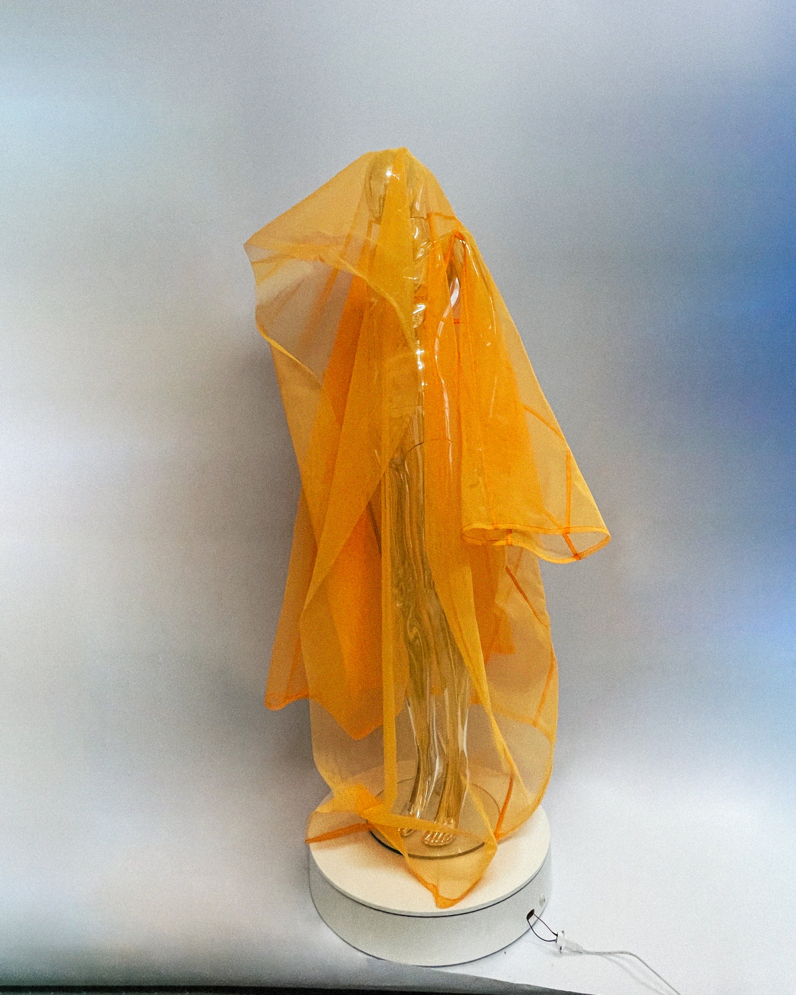 Jivomir Domoustchiev net mesh opera oversized coat