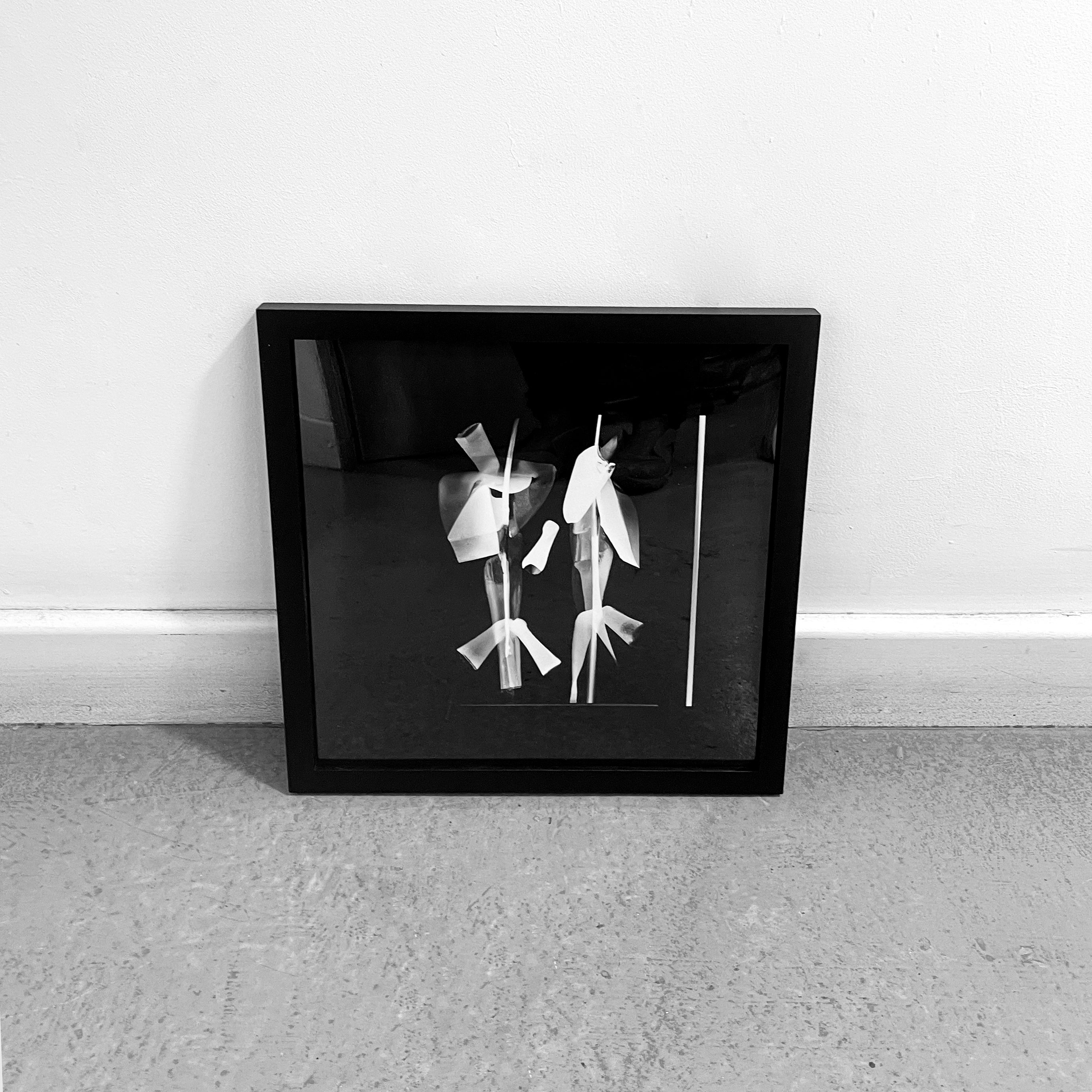 Jivomir Domoustchiev visual art photography orchid flower print limited edition interior design luxury