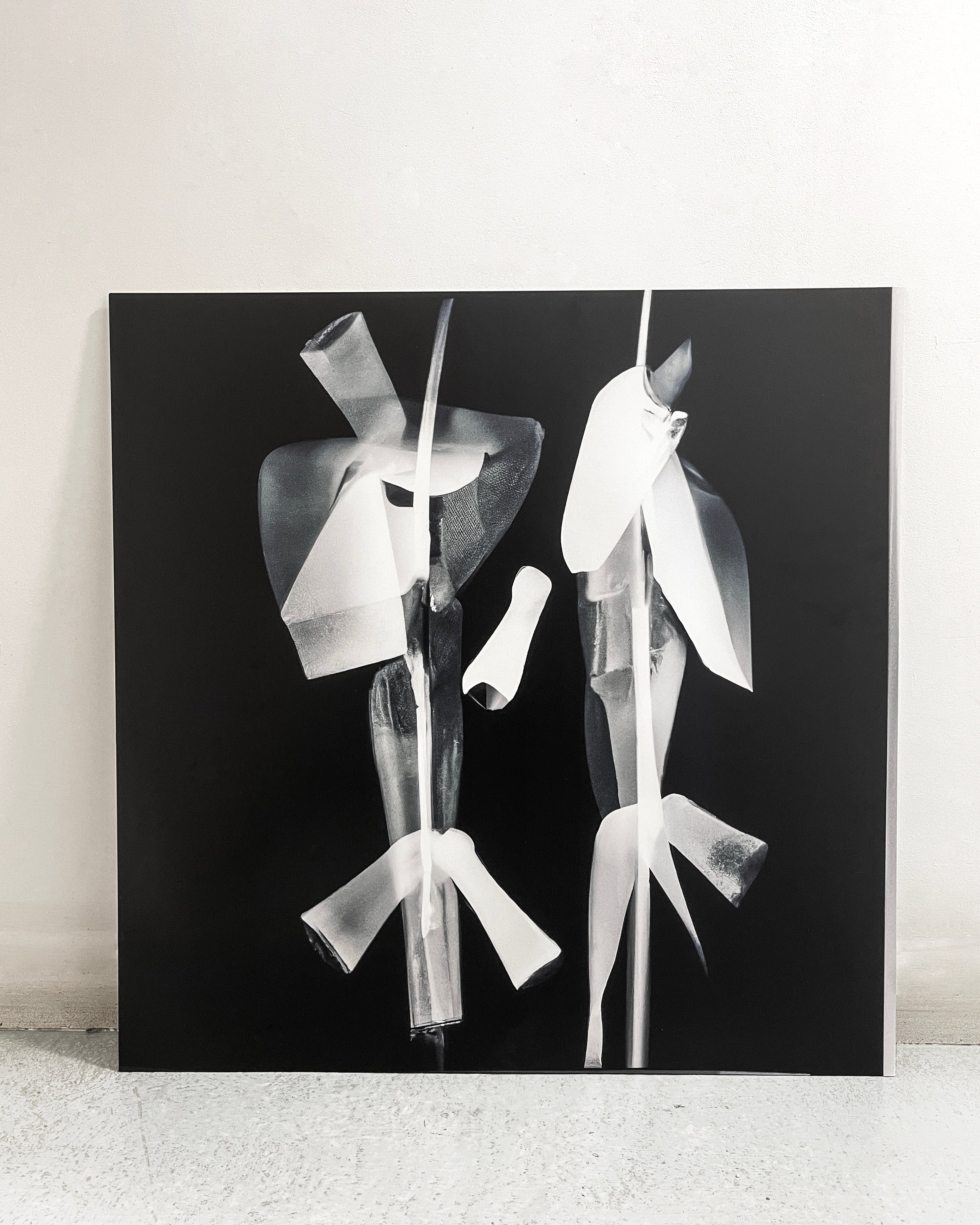 Jivomir Domoustchiev visual art photography orchid flower print limited edition interior design luxury