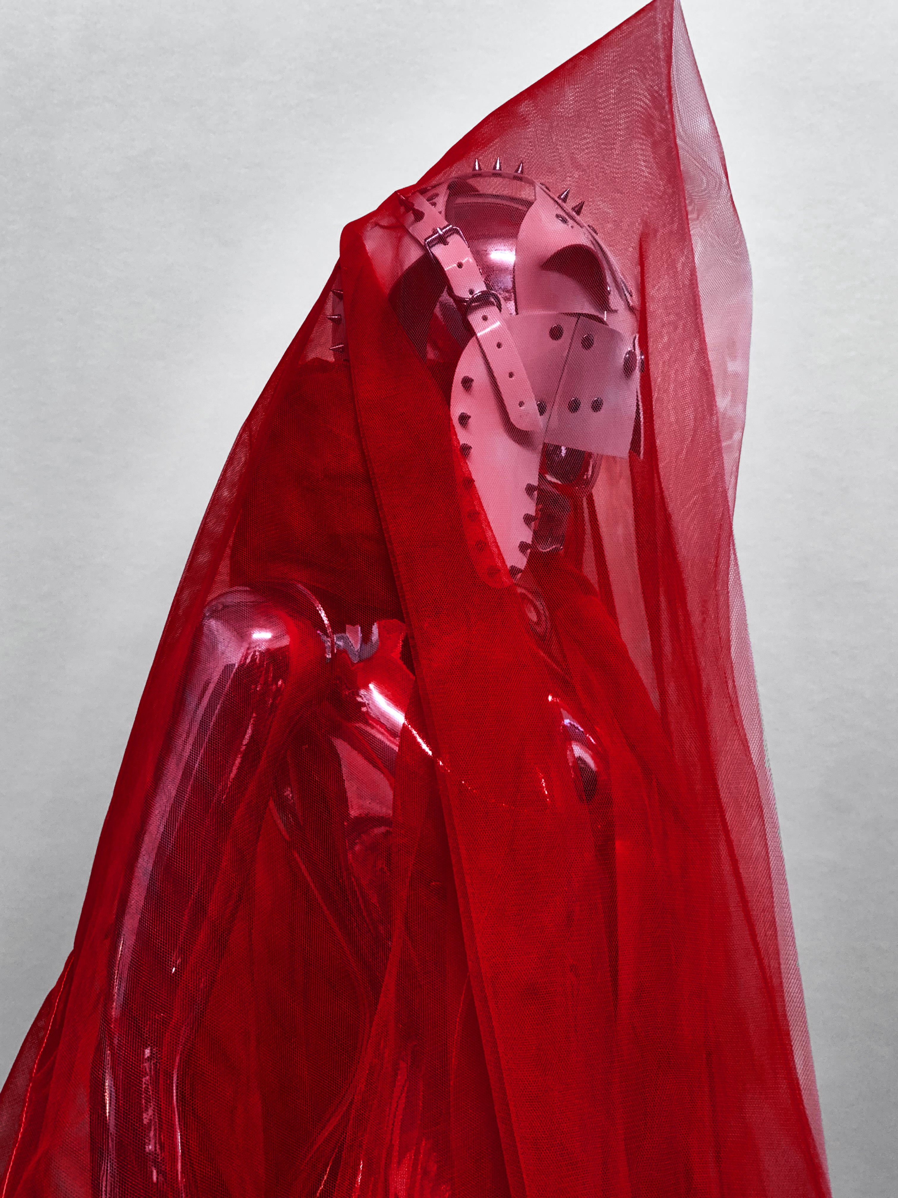 Jivomir Domoustchiev net mesh opera oversized coat