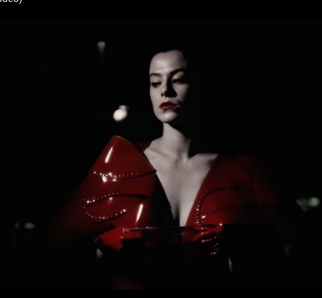 Duke Tru Rom Music Video featuring Jivomir Domoustchiev