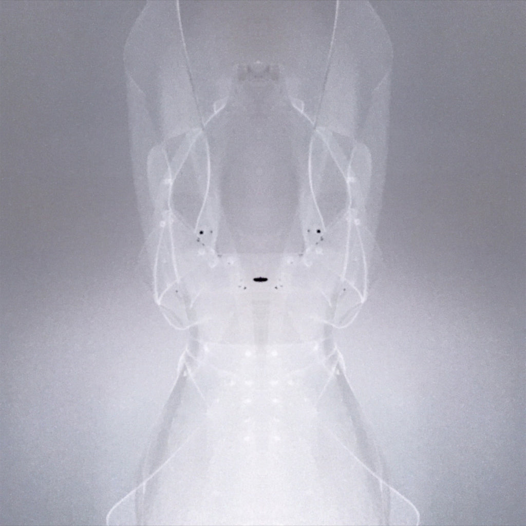 Custom Commission Clear PVC Dress